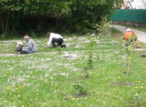 Mehr als Gärtnern! Gesunde Natur - gesunde Nahrung. Für Alle! 