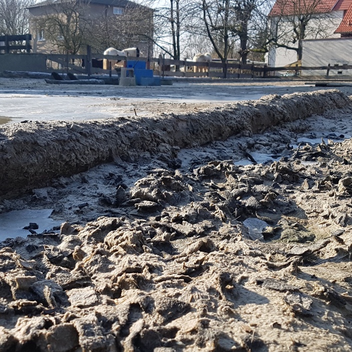 Neuer Reitplatz für den Ponyhof