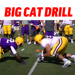 BIG Cat Drill - Spielerin gegen Spielerin