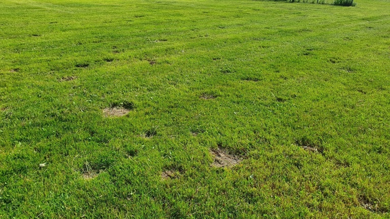 Sportplatzsanierung Spfr. Leukershausen-Mariäkappel