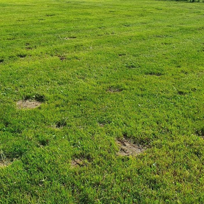 Sportplatzsanierung Spfr. Leukershausen-Mariäkappel