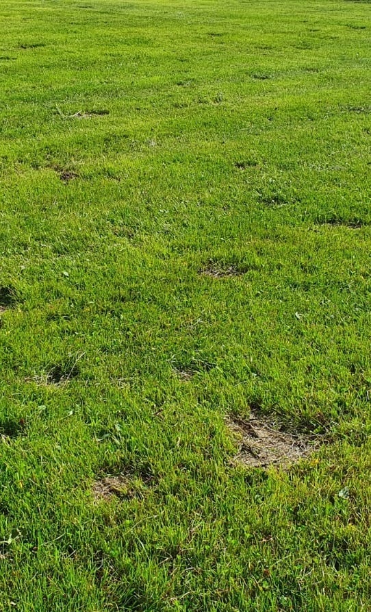 Sportplatzsanierung Spfr. Leukershausen-Mariäkappel
