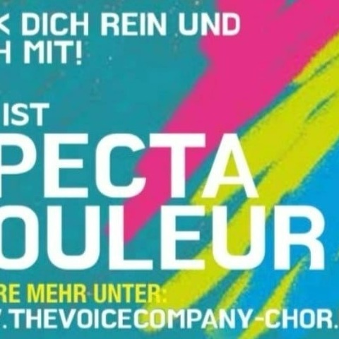 Spectacouleur-The Voice Company and friends