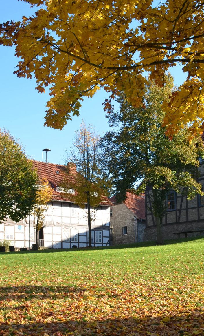 Zukunft gestalten: Planung-Umbau Schulgebäude