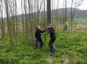 Flächenpflege für die Natur