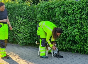 Anschaffung einer Drohne zur Unterstützung bei der Vermisstensuche