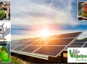 Solaranlage für den Vogelpark Viernheim
