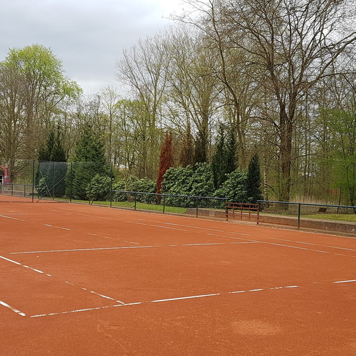 TC BW Soltau - Sanierung Tenniswand