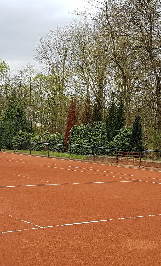 TC BW Soltau - Sanierung Tenniswand