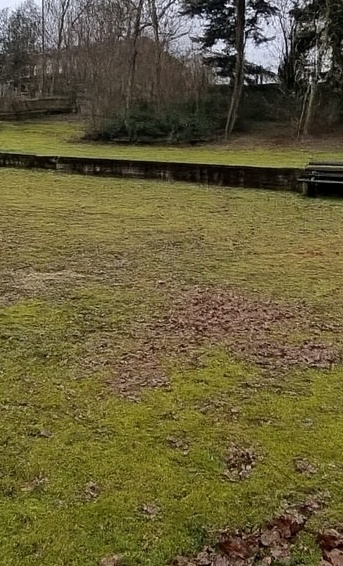 Ein neues Klettergerät mit Rutsche für Ober-Breidenbach
