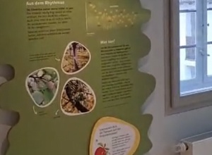 Interaktive Stationen in der Natur Werkstatt Streuobstwiese