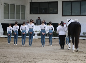 Mehr Pferdestärken für die Pferdefreunde