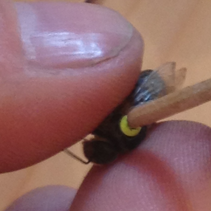 Erweiterung Lehrbienenstand Altenthann