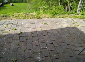 Der TSV erneuert (sich)!