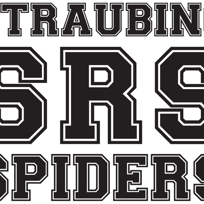 2. Bundesliga - Videowall - Straubing Spiders american Football