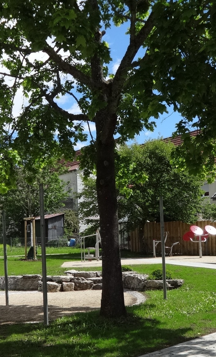 Barrierefreier Bewegungspark Bitz