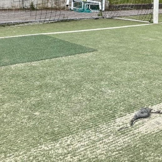 Neuer Kunstrasenbelag im Hofbachstadion - VfL Klafeld-Geisweid 08 e.V.