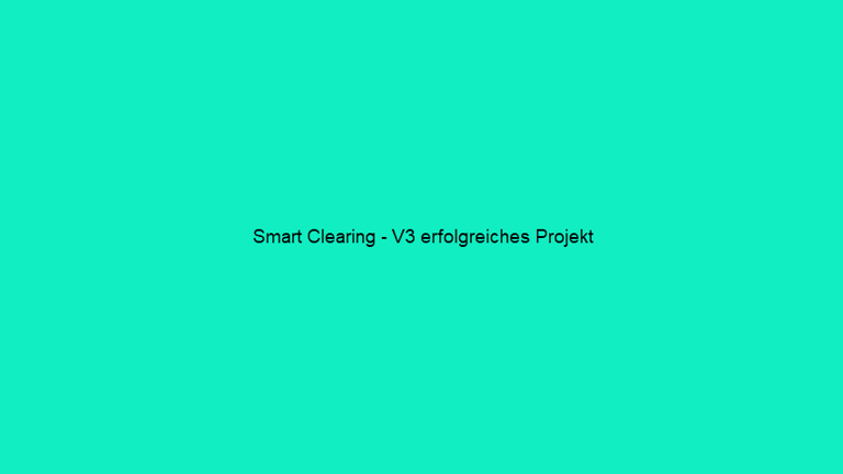 Smart Clearing - V3 erfolgreiches Projekt