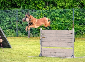 Damit kein Training im Dunkeln steht- wir brauchen neues Flutlicht!