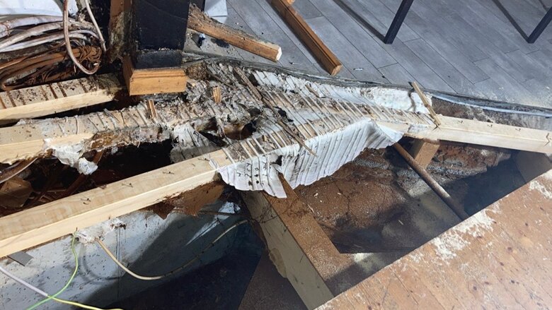 Große Ansicht vom Video