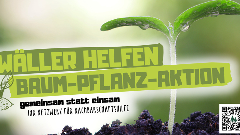 Wäller Forsten Auf