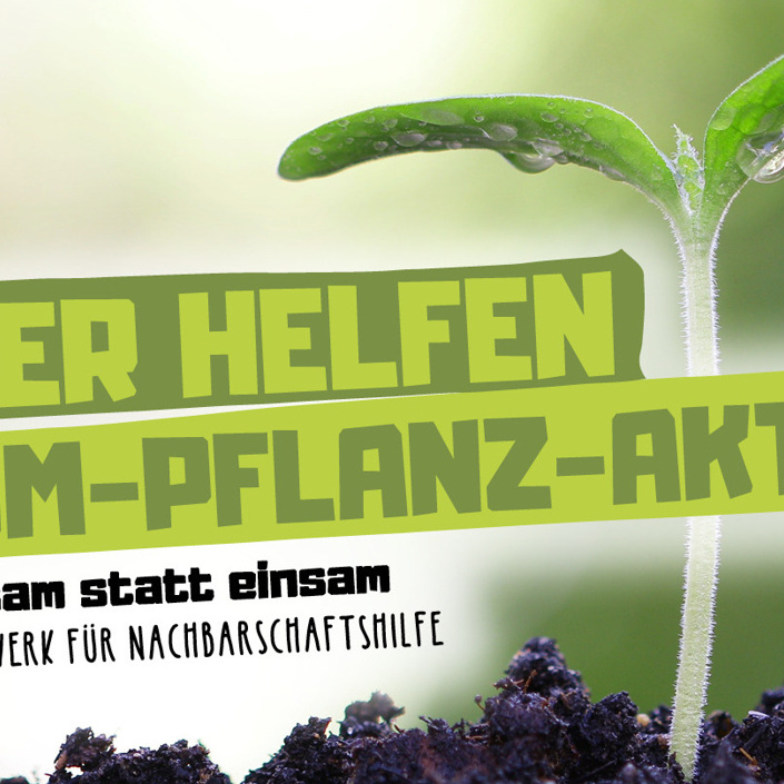 Wäller Forsten Auf