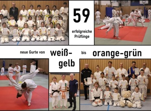 NEUE Matten für das Judo-Training