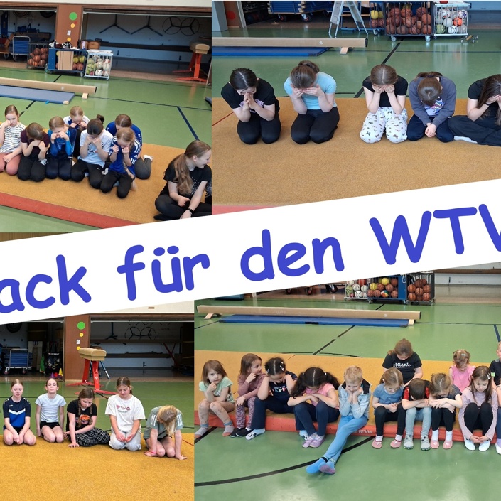Airtrack-Bahn für die Turnabteilung des Wittlicher Turnvereins