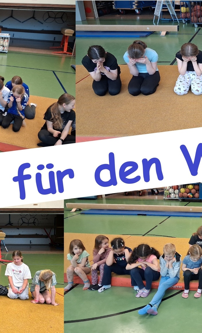 Airtrack-Bahn für die Turnabteilung des Wittlicher Turnvereins