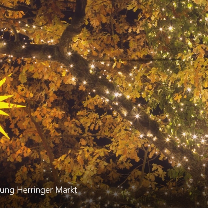 Herringer Weihnachtsleuchten