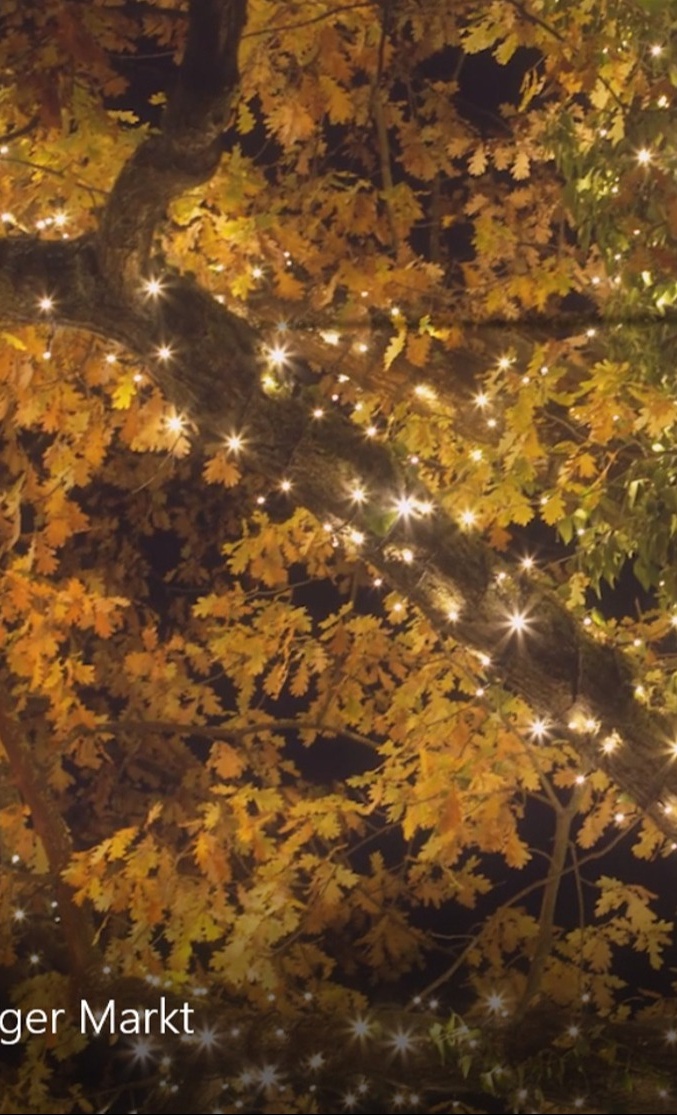 Herringer Weihnachtsleuchten