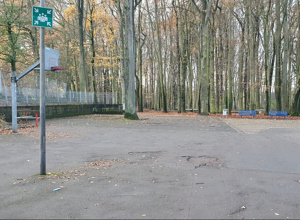 Schule in Bewegung