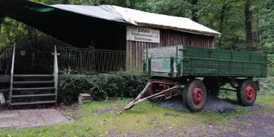 Sanierung unseres Vereinsheims im Wald