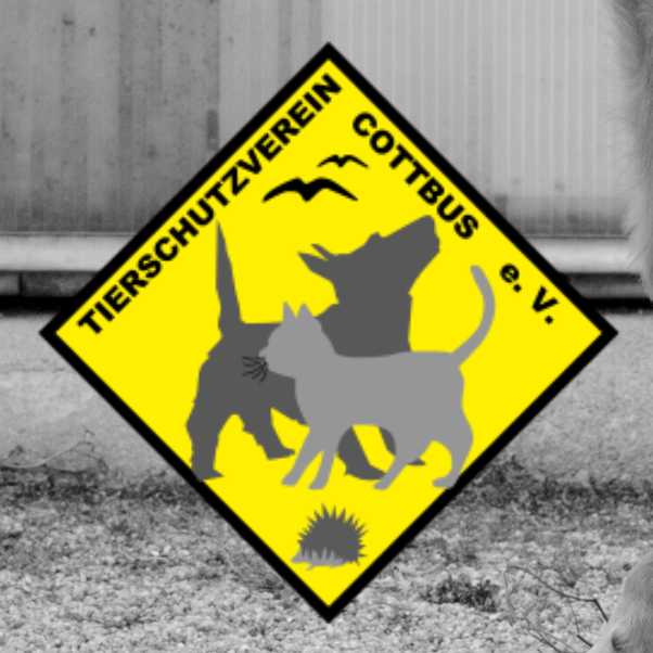 Muzzle Boxen für das Cottbuser Tierheim