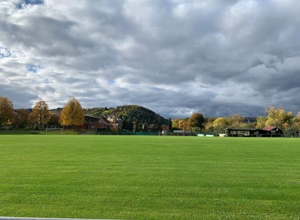 Rasenmähroboter für unseren Sportplatz, FSV Laudenbach