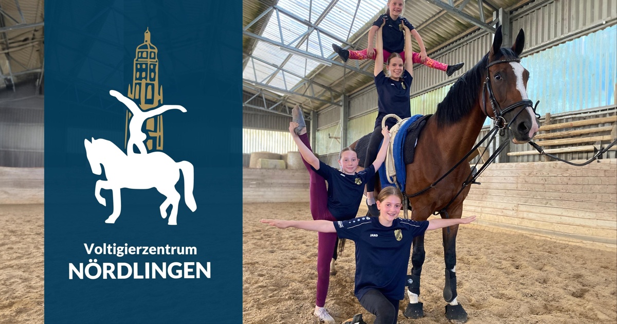 ausr-stung-f-r-unser-neues-voltigierpferd-happy-lady-viele-schaffen-mehr