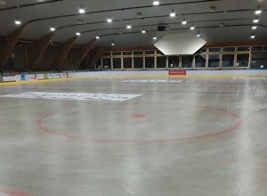 Eishockeyschutznetze SV Baiersbronn