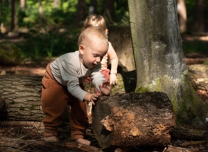 Unterstützt die Bienwaldkinder