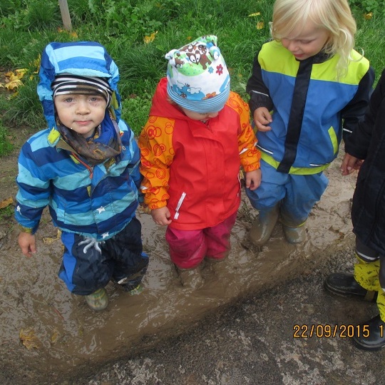 Honigbienchen: Wasser-Oase für die Kinderkrippe