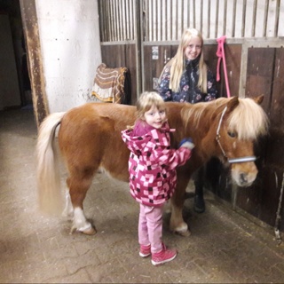 Eine Stunde Pferdezeit