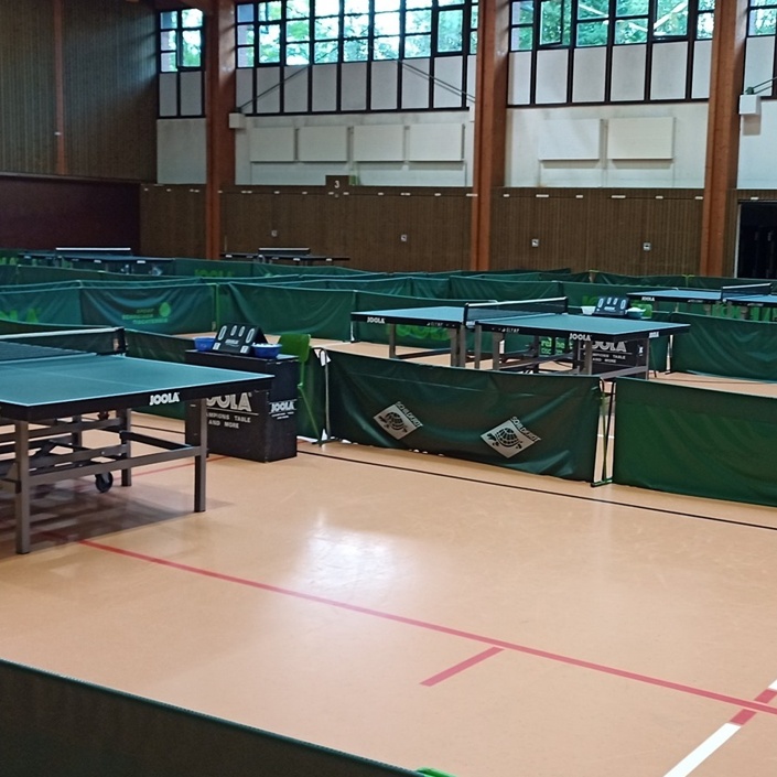 Tischtennis Schulprojekt mit der Schlosshofschule