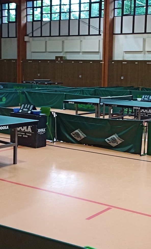 Tischtennis Schulprojekt mit der Schlosshofschule
