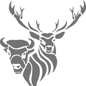 Partnerbild - WILDWECHSEL das Gasthaus am Waldbad