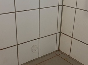 Renovierung sanitäre Anlagen + Warmwasseraufbereitung  SCO Tennis