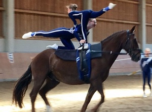 Neues Pferd für unsere Voltigierer