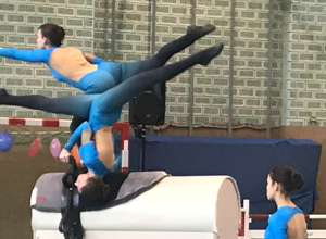 Das galoppierende Holzpferd