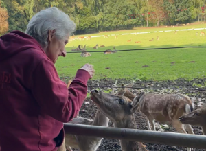 Ausflüge mit Herz - Erlebnisse mit Demenzerkrankten