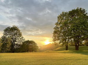 Volksbank: Mähroboter statt Dieselmäher