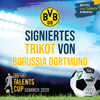 Signiertes Trikot Borussia Dortmund
