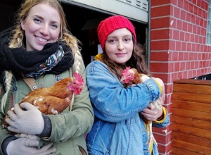 Tiere retten, heilen und vermitteln